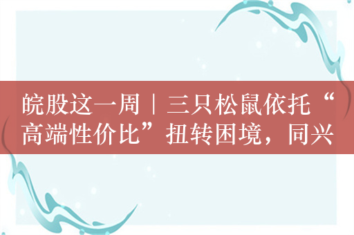 皖股这一周｜三只松鼠依托“高端性价比”扭转困境，同兴环保2023年营收与净利润双下降