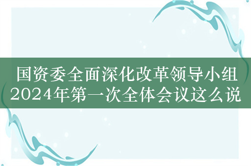 国资委全面深化改革领导小组2024年第一次全体会议这么说