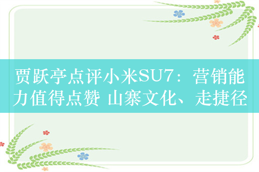 贾跃亭点评小米SU7：营销能力值得点赞 山寨文化、走捷径模式等令人担忧