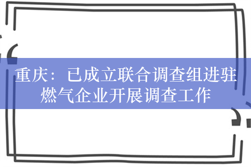 重庆：已成立联合调查组进驻燃气企业开展调查工作