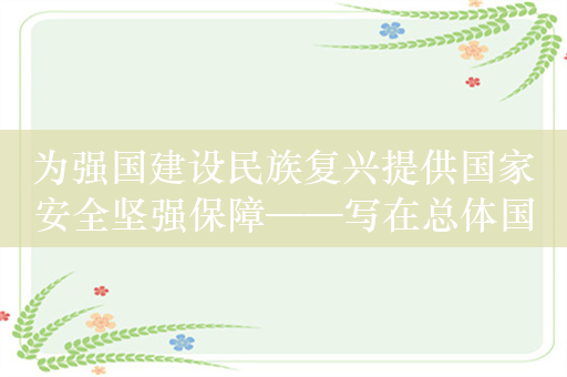 为强国建设民族复兴提供国家安全坚强保障——写在总体国家安全观提出十周年之际