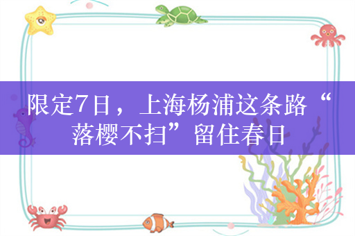 限定7日，上海杨浦这条路“落樱不扫”留住春日