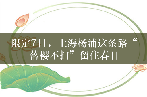 限定7日，上海杨浦这条路“落樱不扫”留住春日