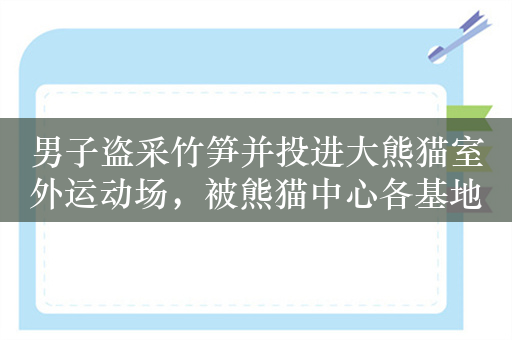 男子盗采竹笋并投进大熊猫室外运动场，被熊猫中心各基地终身禁入