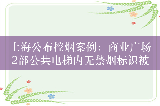 上海公布控烟案例：商业广场2部公共电梯内无禁烟标识被处罚