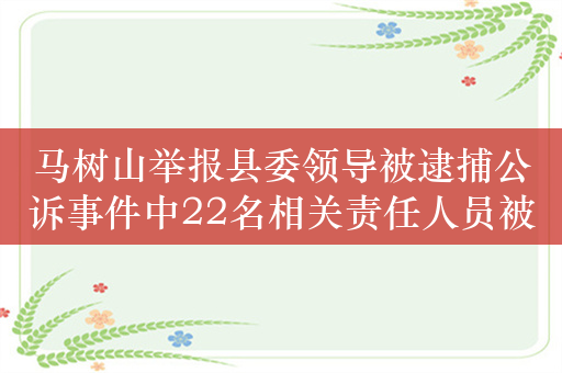 马树山举报县委领导被逮捕公诉事件中22名相关责任人员被问责