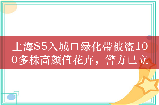 上海S5入城口绿化带被盗100多株高颜值花卉，警方已立案