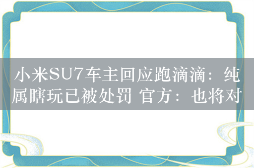 小米SU7车主回应跑滴滴：纯属瞎玩已被处罚 官方：也将对平台进行处理