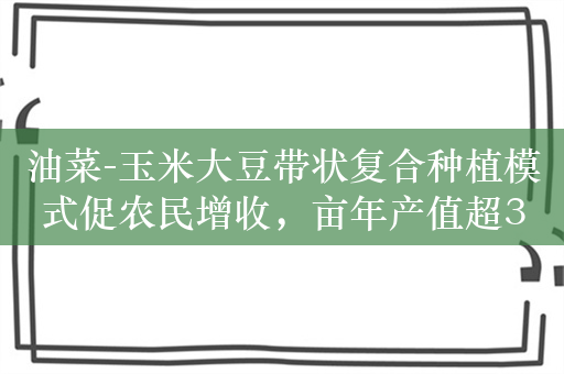 油菜-玉米大豆带状复合种植模式促农民增收，亩年产值超3000元