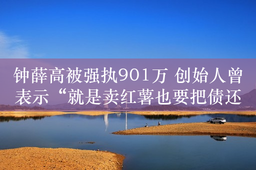 钟薛高被强执901万 创始人曾表示“就是卖红薯也要把债还上！”