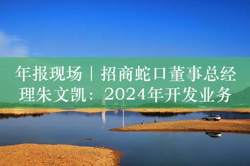 年报现场｜招商蛇口董事总经理朱文凯：2024年开发业务最重要的是稳住基本盘，稳定现金流