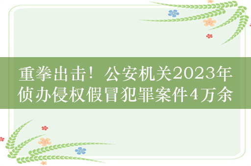 重拳出击！公安机关2023年侦办侵权假冒犯罪案件4万余起