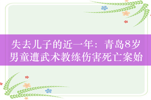 失去儿子的近一年：青岛8岁男童遭武术教练伤害死亡案始末