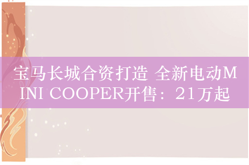 宝马长城合资打造 全新电动MINI COOPER开售：21万起