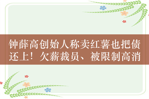 钟薛高创始人称卖红薯也把债还上！欠薪裁员、被限制高消费，林盛还有机会吗？