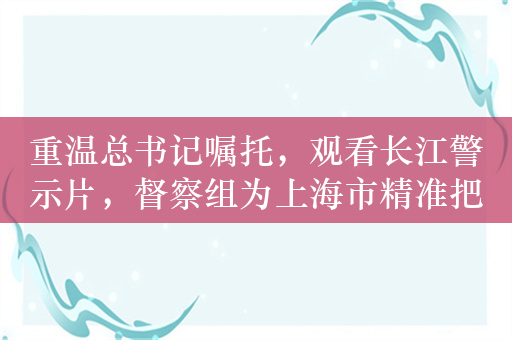 重温总书记嘱托，观看长江警示片，督察组为上海市精准把脉