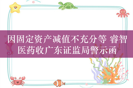 因固定资产减值不充分等 睿智医药收广东证监局警示函