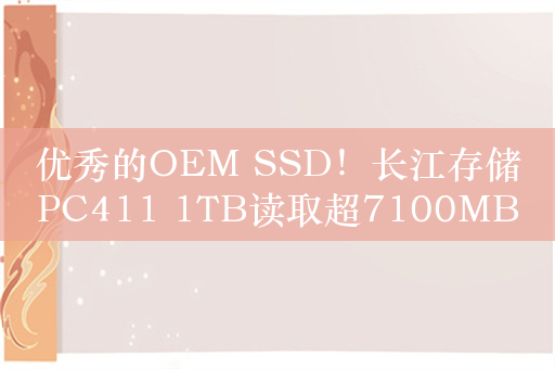 优秀的OEM SSD！长江存储PC411 1TB读取超7100MB/s、最高温度仅有51度