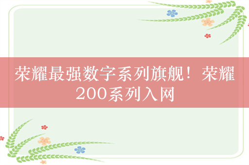 荣耀最强数字系列旗舰！荣耀200系列入网