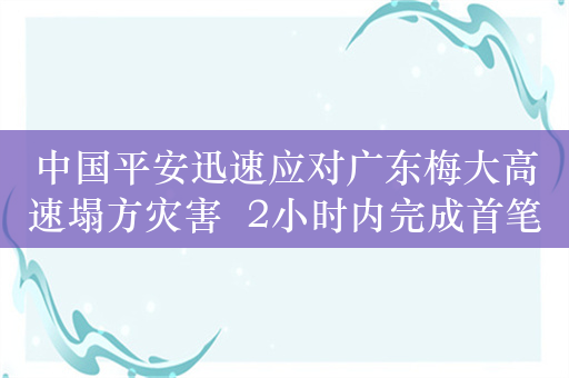 中国平安迅速应对广东梅大高速塌方灾害  2小时内完成首笔保险预赔款支付