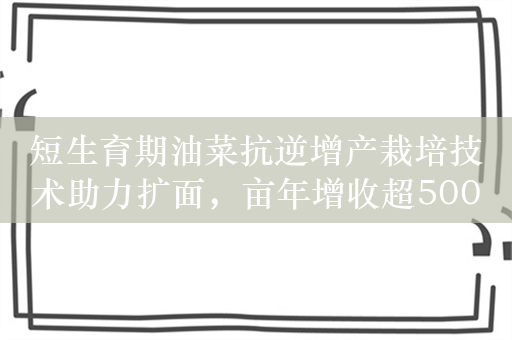 短生育期油菜抗逆增产栽培技术助力扩面，亩年增收超500元