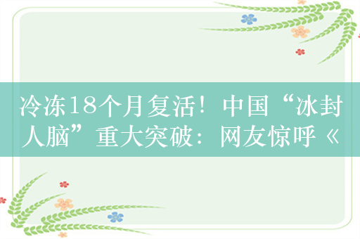 冷冻18个月复活！中国“冰封人脑”重大突破：网友惊呼《三体》成真