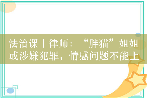 法治课｜律师：“胖猫”姐姐或涉嫌犯罪，情感问题不能上升到用刑事规制