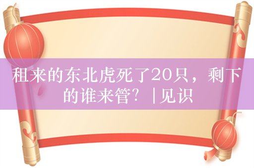 租来的东北虎死了20只，剩下的谁来管？|见识