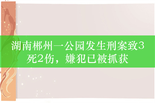 湖南郴州一公园发生刑案致3死2伤，嫌犯已被抓获