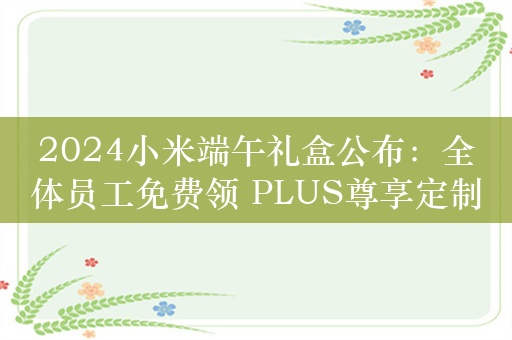 2024小米端午礼盒公布：全体员工免费领 PLUS尊享定制馅料