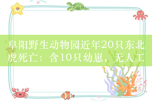 阜阳野生动物园近年20只东北虎死亡：含10只幼崽，无人工繁殖许可证