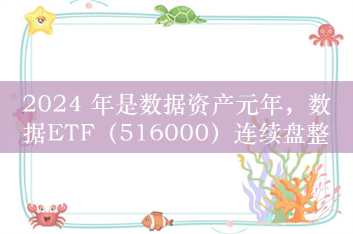 2024 年是数据资产元年，数据ETF（516000）连续盘整获资金逆势加仓