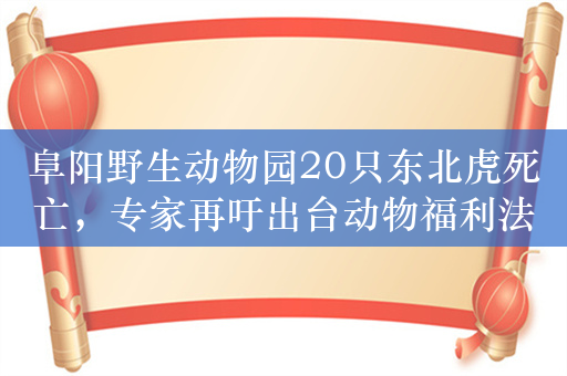 阜阳野生动物园20只东北虎死亡，专家再吁出台动物福利法
