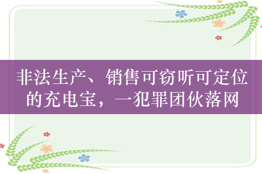 非法生产、销售可窃听可定位的充电宝，一犯罪团伙落网