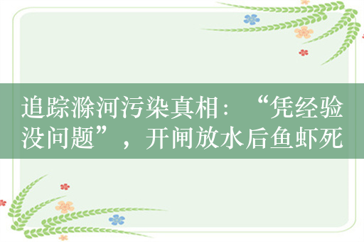 追踪滁河污染真相：“凭经验没问题”，开闸放水后鱼虾死亡恶臭熏天