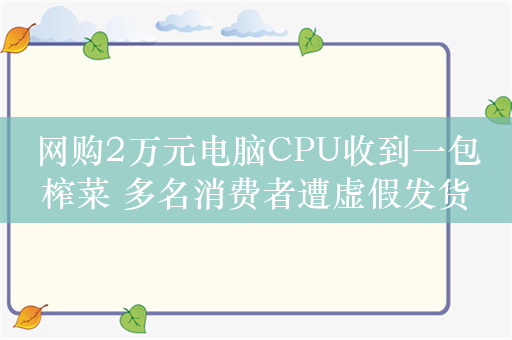 网购2万元电脑CPU收到一包榨菜 多名消费者遭虚假发货