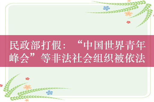 民政部打假：“中国世界青年峰会”等非法社会组织被依法处置