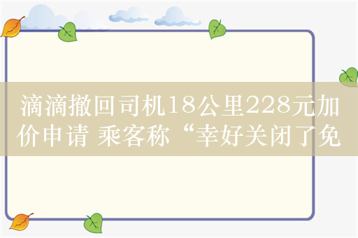 滴滴撤回司机18公里228元加价申请 乘客称“幸好关闭了免密支付”