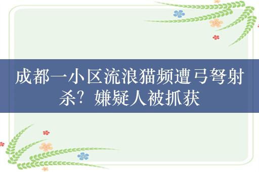 成都一小区流浪猫频遭弓弩射杀？嫌疑人被抓获