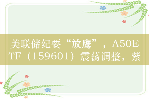 美联储纪要“放鹰”，A50ETF（159601）震荡调整，紫金矿业、保利发展领跌