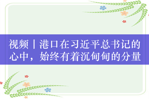 视频丨港口在习近平总书记的心中，始终有着沉甸甸的分量