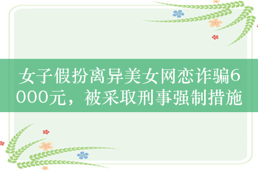 女子假扮离异美女网恋诈骗6000元，被采取刑事强制措施