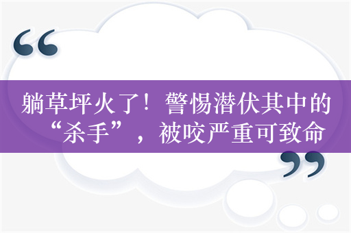 躺草坪火了！警惕潜伏其中的“杀手”，被咬严重可致命