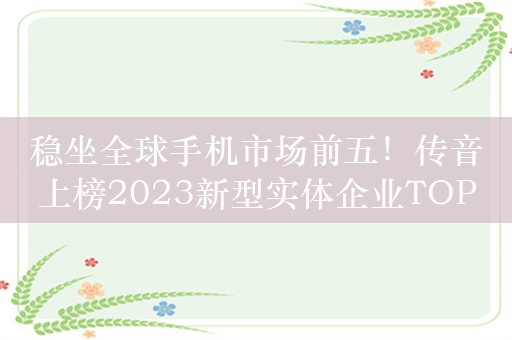 稳坐全球手机市场前五！传音上榜2023新型实体企业TOP100