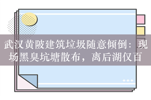 武汉黄陂建筑垃圾随意倾倒：现场黑臭坑塘散布，离后湖仅百余米