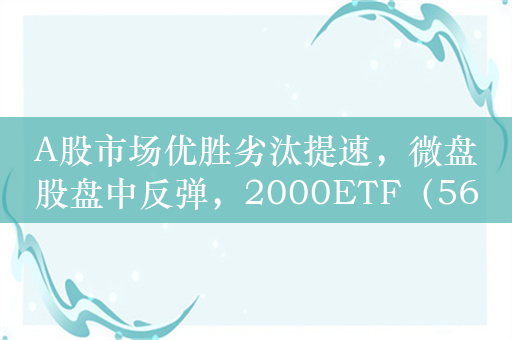 A股市场优胜劣汰提速，微盘股盘中反弹，2000ETF（561370）涨1%