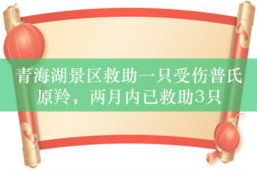 青海湖景区救助一只受伤普氏原羚，两月内已救助3只