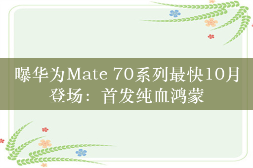 曝华为Mate 70系列最快10月登场：首发纯血鸿蒙