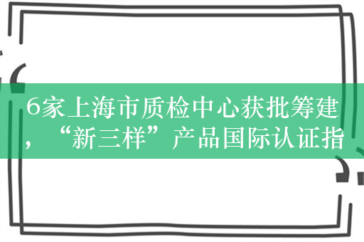 6家上海市质检中心获批筹建，“新三样”产品国际认证指南发布