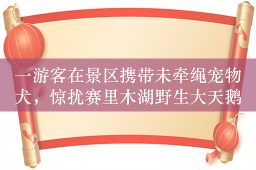 一游客在景区携带未牵绳宠物犬，惊扰赛里木湖野生大天鹅